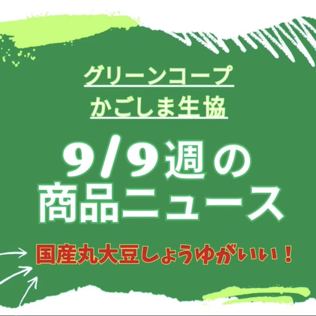 9/１６の商品ニュース